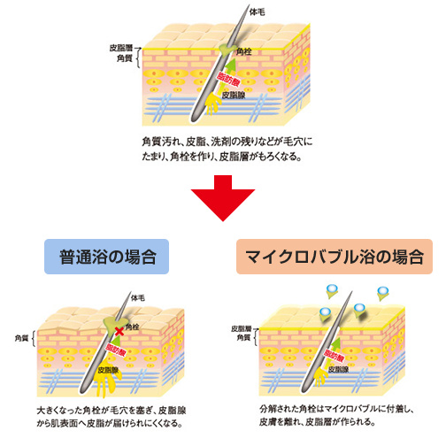 マイクロバブルで、肌すっきりキレイ