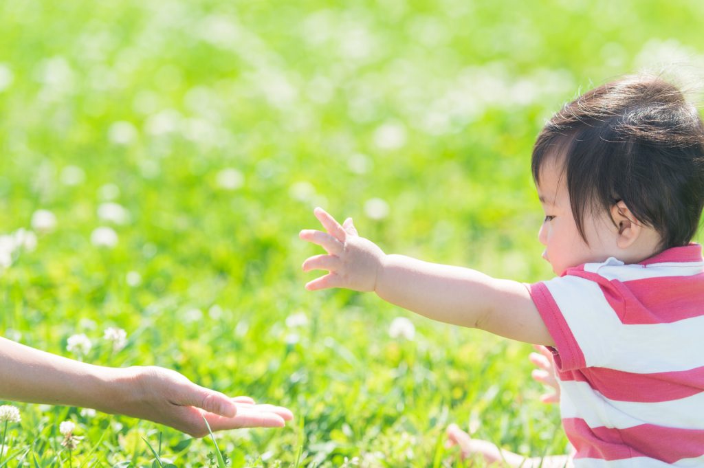 子育てエコホーム支援事業 とは