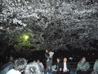 夜桜の下で｜スタッフブログ