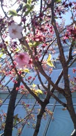 2011041312570001_1.jpg