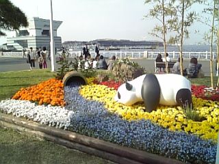 dvc00108_320.jpg