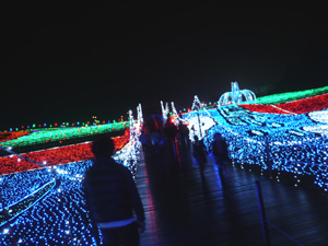 東京ドイツ村☆彡