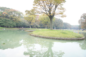 カメラを通して見た風景